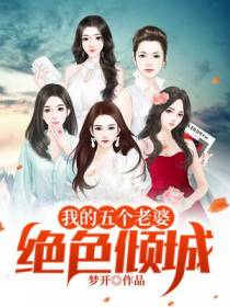 我的五个老婆绝色倾城