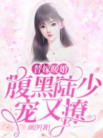 替嫁暖婚：腹黑陆少宠又撩