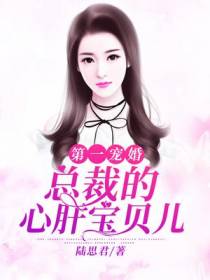 总裁的心肝宝贝儿君之牧乔宝儿