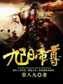 九阳帝尊陆玄