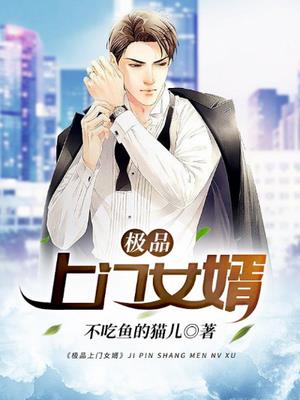 极品女婿
