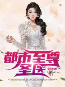 都市至尊圣医