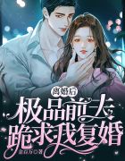 离婚后，极品前夫跪求我复婚