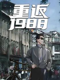 重生1988年