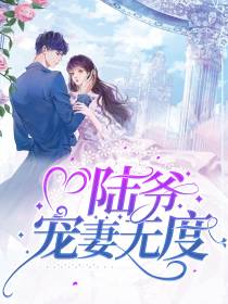 苏黎陆辰九