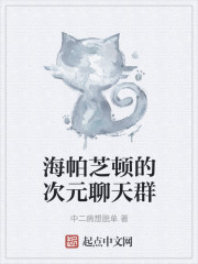 海帕芝顿的次元聊天群