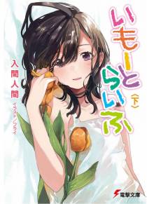 妹妹人生(上下全本)