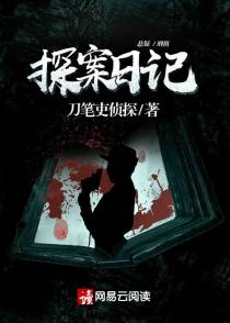 探案日记