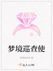 梦境巡查使
