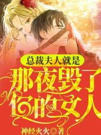 总裁，夫人是那夜毁了你的女人