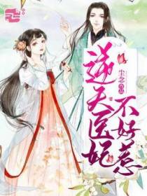 逆天医妃不好惹