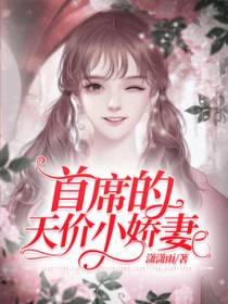 首席的天价小娇妻