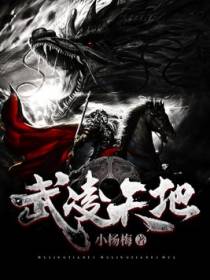 武凌天地