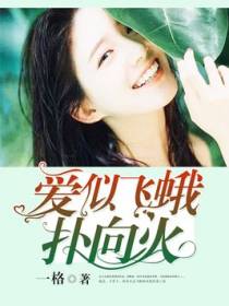 爱似飞蛾扑向火
