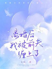 离婚后我被前夫缠上了