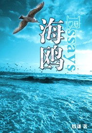 海鸥