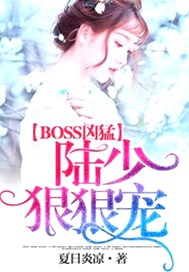 BOSS凶猛：陆少，狠狠宠
