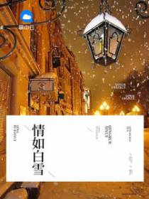 苏夏傅斯琛