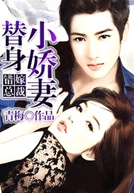 错嫁总裁：替身小娇妻