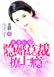 宠妻狂魔：隐婚总裁撩上瘾