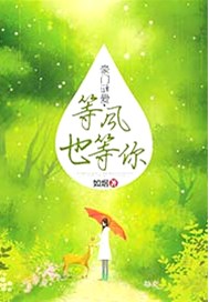 豪门谜爱，等风也等你