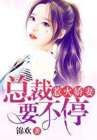 惹火娇妻：总裁要不停
