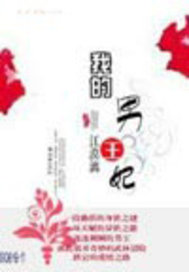 我的男王妃