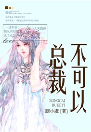 总裁，不可以！