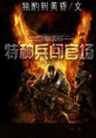 特种兵闯官场