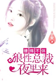 缠绵不休，狼性总裁夜里来