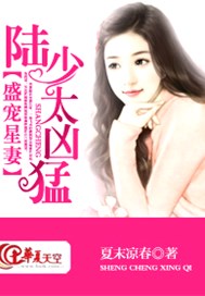盛宠星妻：陆少太凶猛