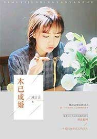 木已成婚
