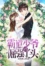 霸道少爷VS倔强丫头