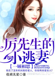 一顾相思：厉先生的小逃妻