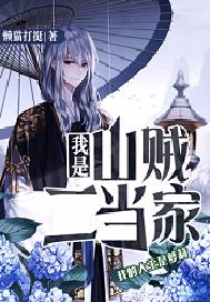 我是山贼二当家