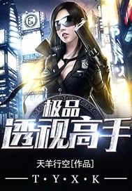 极品透视高手