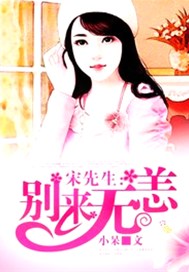 宋先生：别来无恙