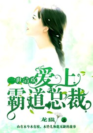 一世清欢：爱上霸道总裁