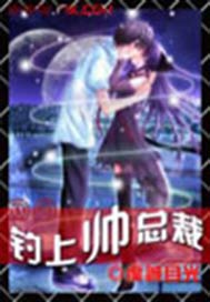 网游钓上帅总裁