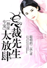 独家专宠：总裁先生太放肆