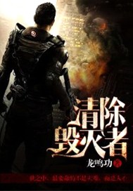 清除毁灭者