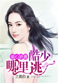 偷心娇妻：酷少，哪里逃