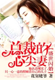 盛世闪婚：总裁的心尖妻