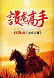 护龙高手