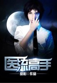 医流高手