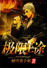 极限王途