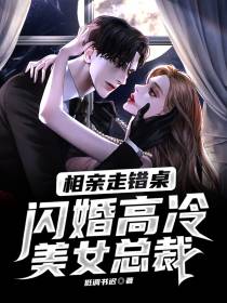 开局闪婚高冷美女总裁
