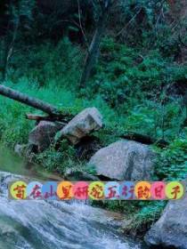 苟在山里搞修仙