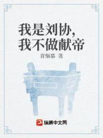 我是刘协，我不做献帝