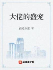 大佬的盛宠
